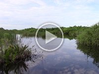 Everglades with Chloe and Kids 08-08-14